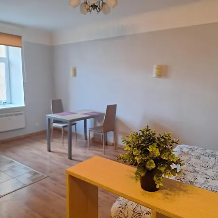 Bright And Cozy In Centre *